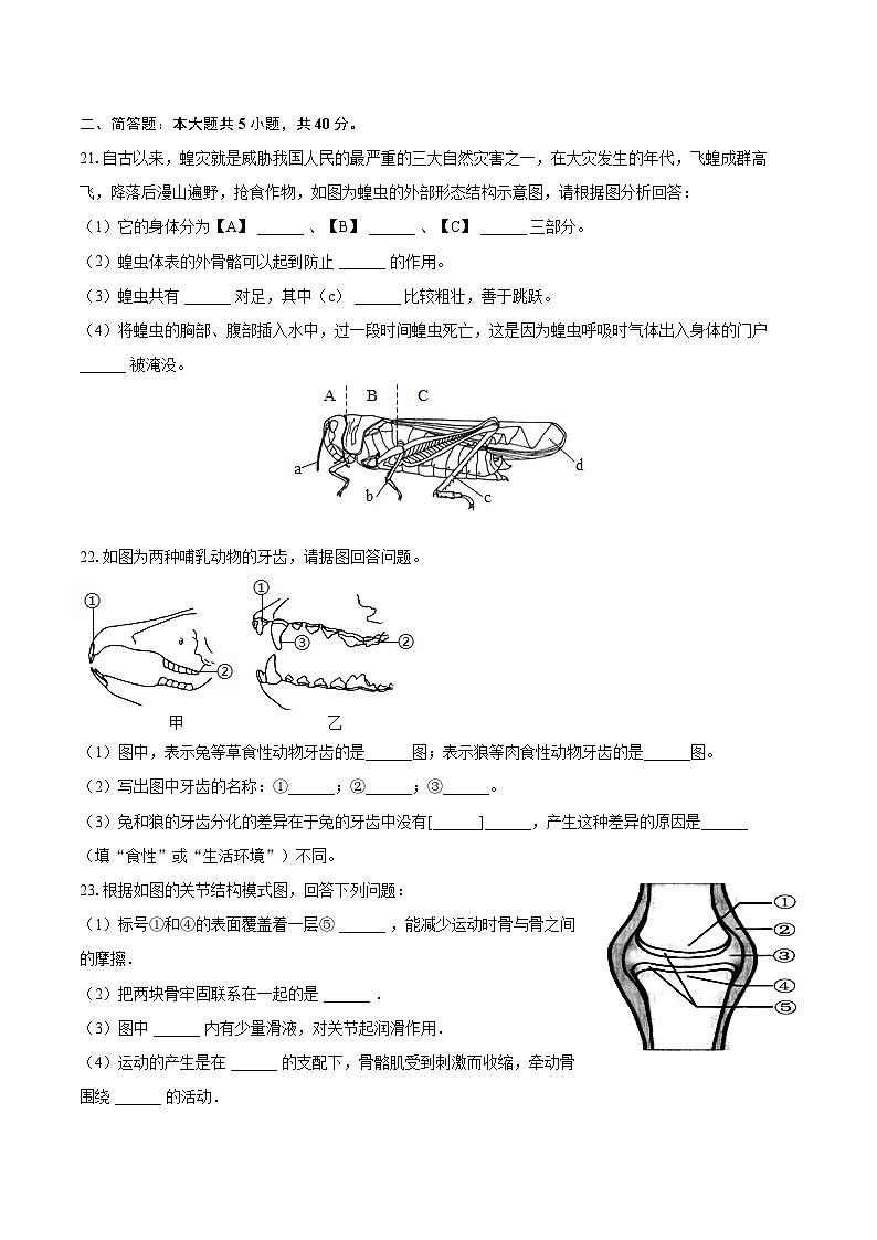 2022-2023学年辽宁省盘锦市盘山县八年级（上）期末生物试卷（含详细答案解析）第3页