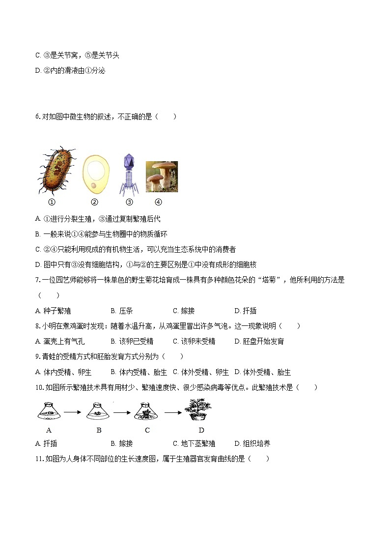 2022-2023学年辽宁省铁岭市西丰县八年级（上）期末生物试卷（含详细答案解析）第2页