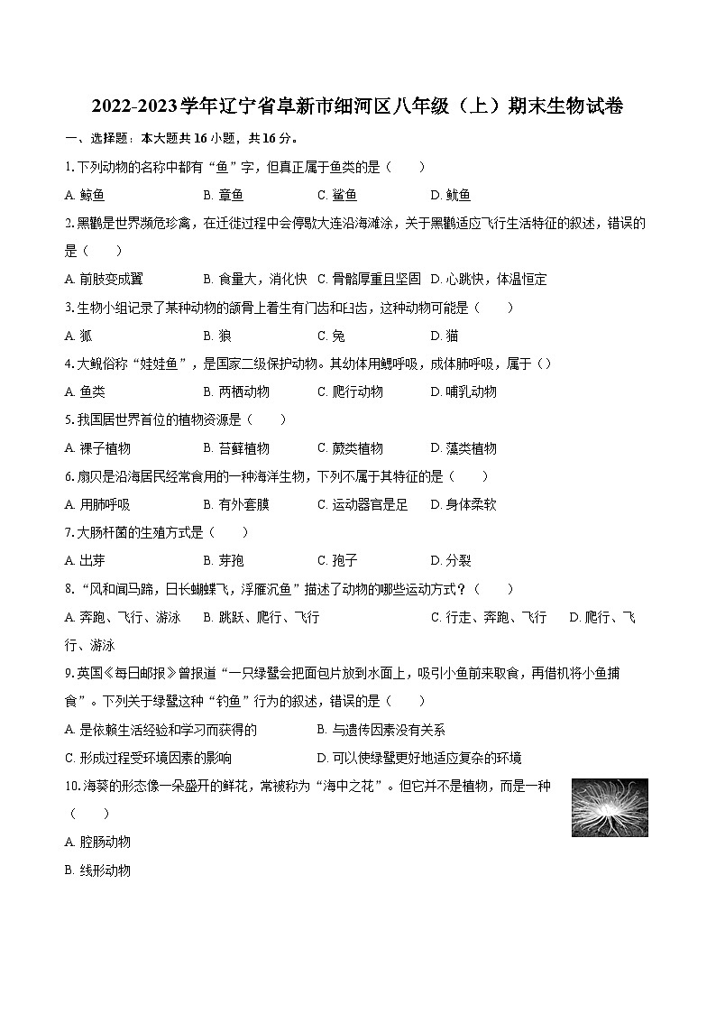2022-2023学年辽宁省阜新市细河区八年级（上）期末生物试卷（含详细答案解析）01