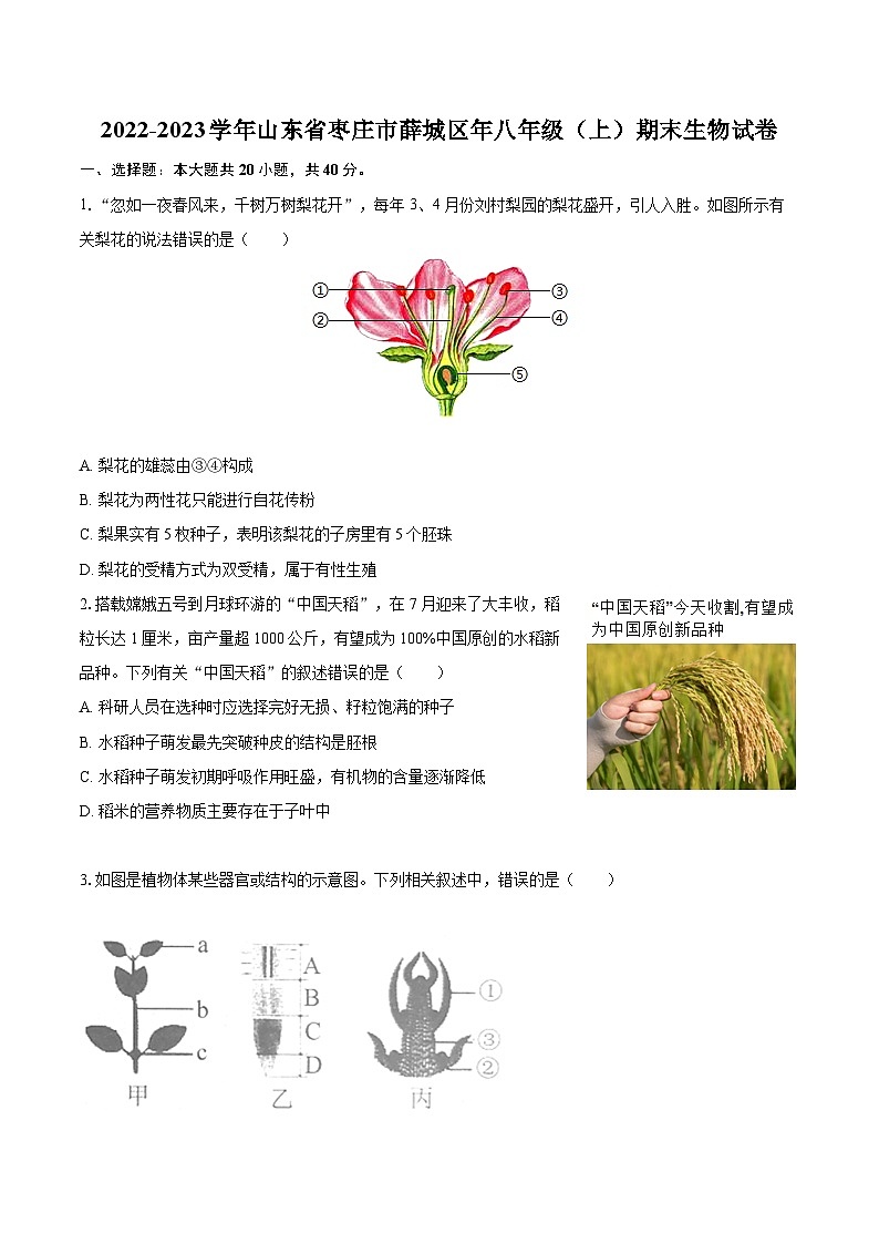 2022-2023学年山东省枣庄市薛城区年八年级（上）期末生物试卷(含详细答案解析)01