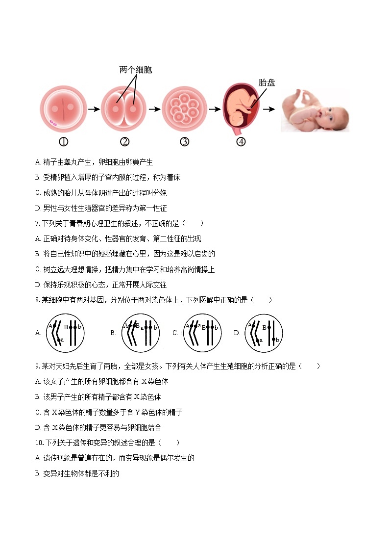 2022-2023学年山东省枣庄市薛城区年八年级（上）期末生物试卷(含详细答案解析)03