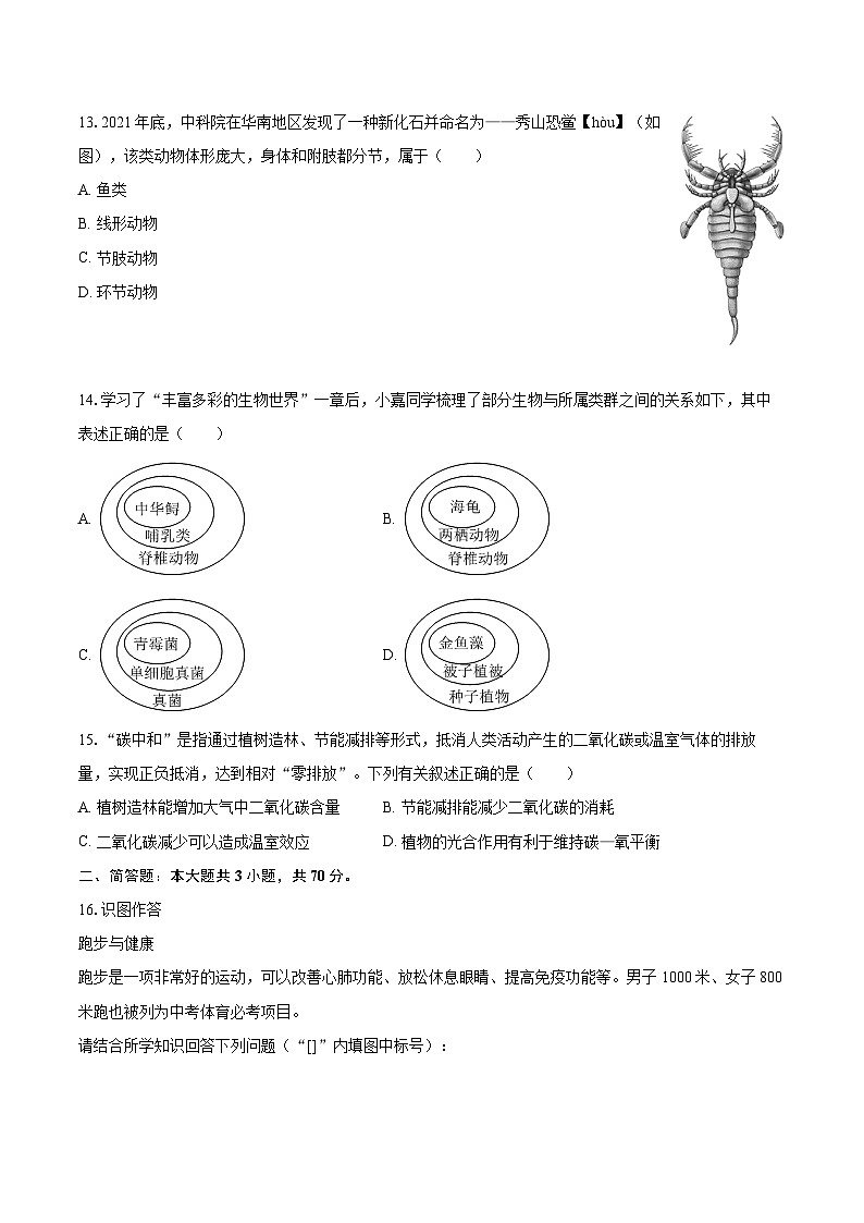 2022-2023学年山西省晋城市城区八年级（上）期末生物试卷（含详细答案解析）03