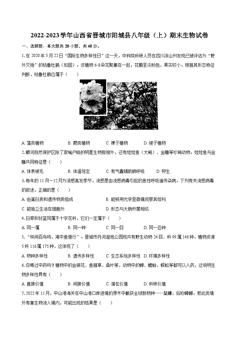 2022-2023学年山西省晋城市阳城县八年级（上）期末生物试卷（含详细答案解析）01