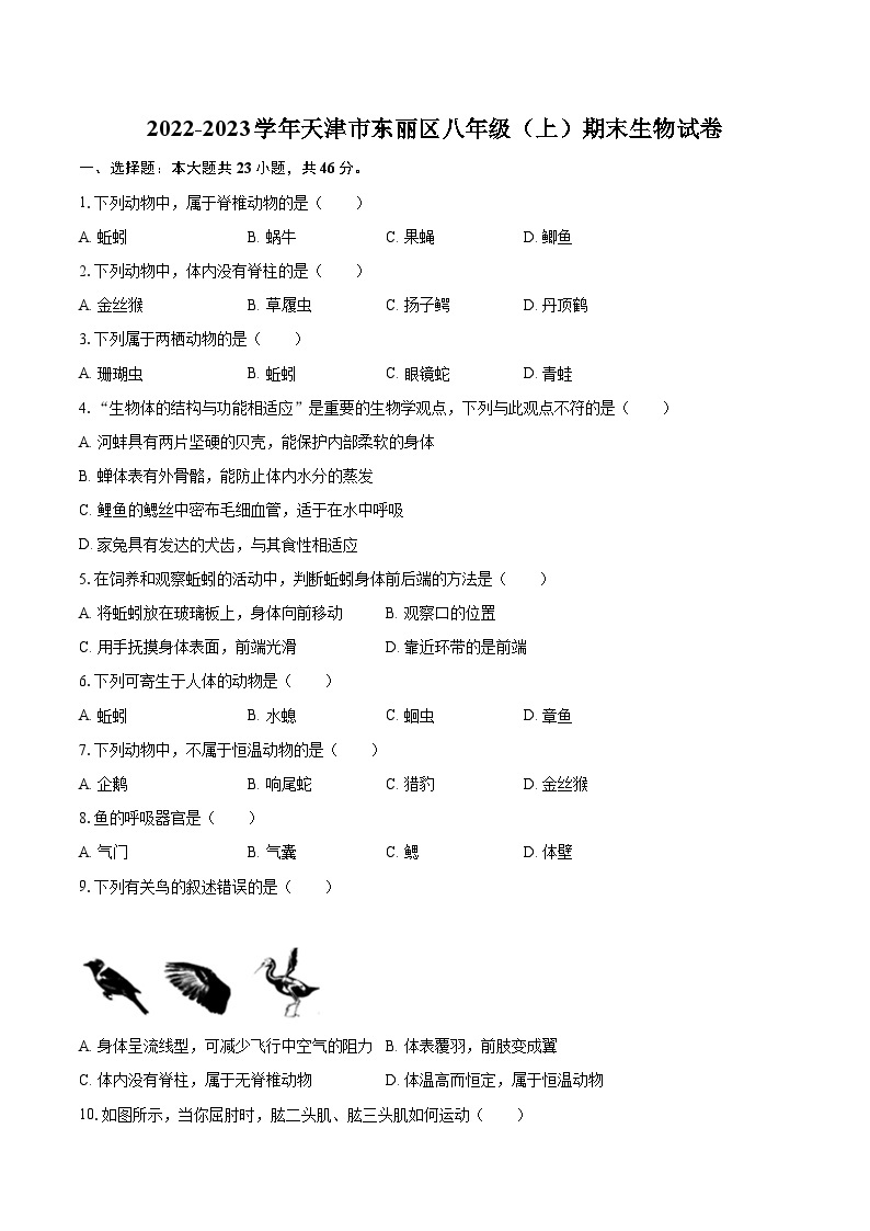 2022-2023学年天津市东丽区八年级（上）期末生物试卷（含详细答案解析）01