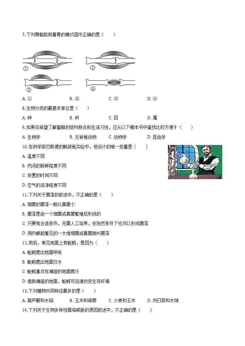 2022-2023学年天津市红桥区八年级（上）期末生物试卷（含详细答案解析）02