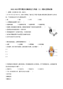 2022-2023学年重庆市南岸区八年级（上）期末生物试卷(含详细答案解析)