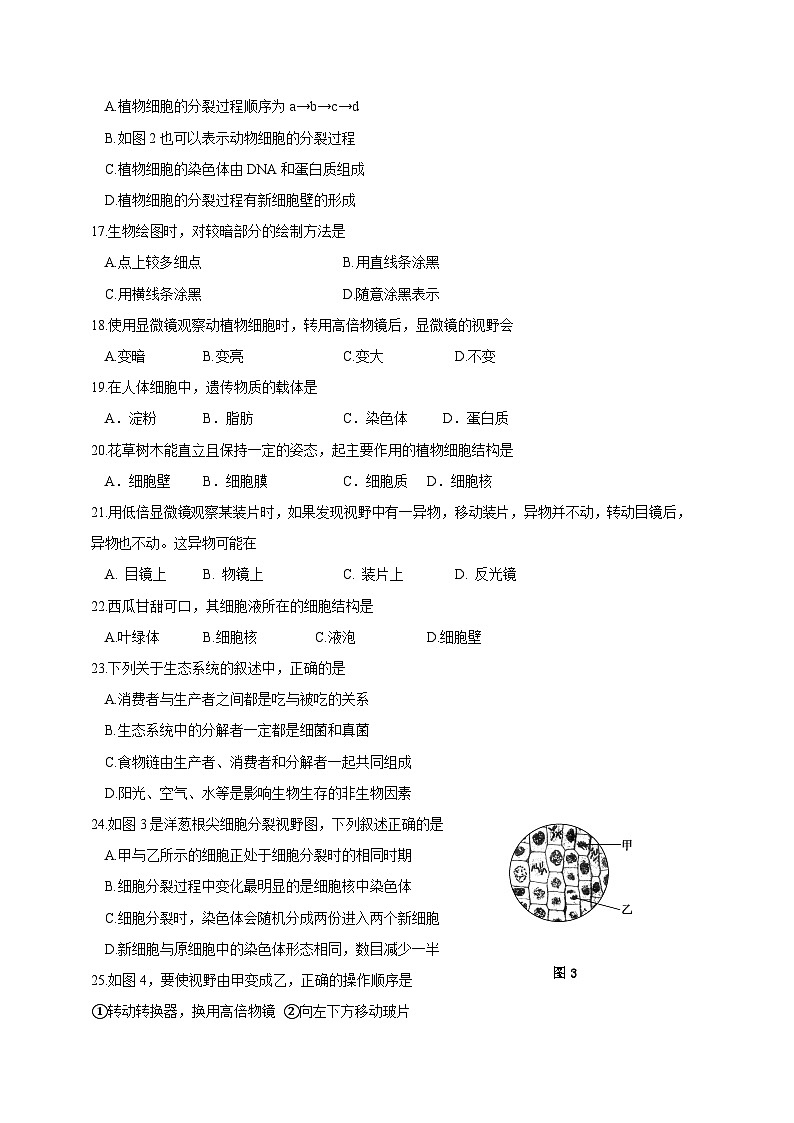 2023-2024学年福建省宁德市福鼎市七年级上学期期中质量检测生物模拟试题（含答案）03