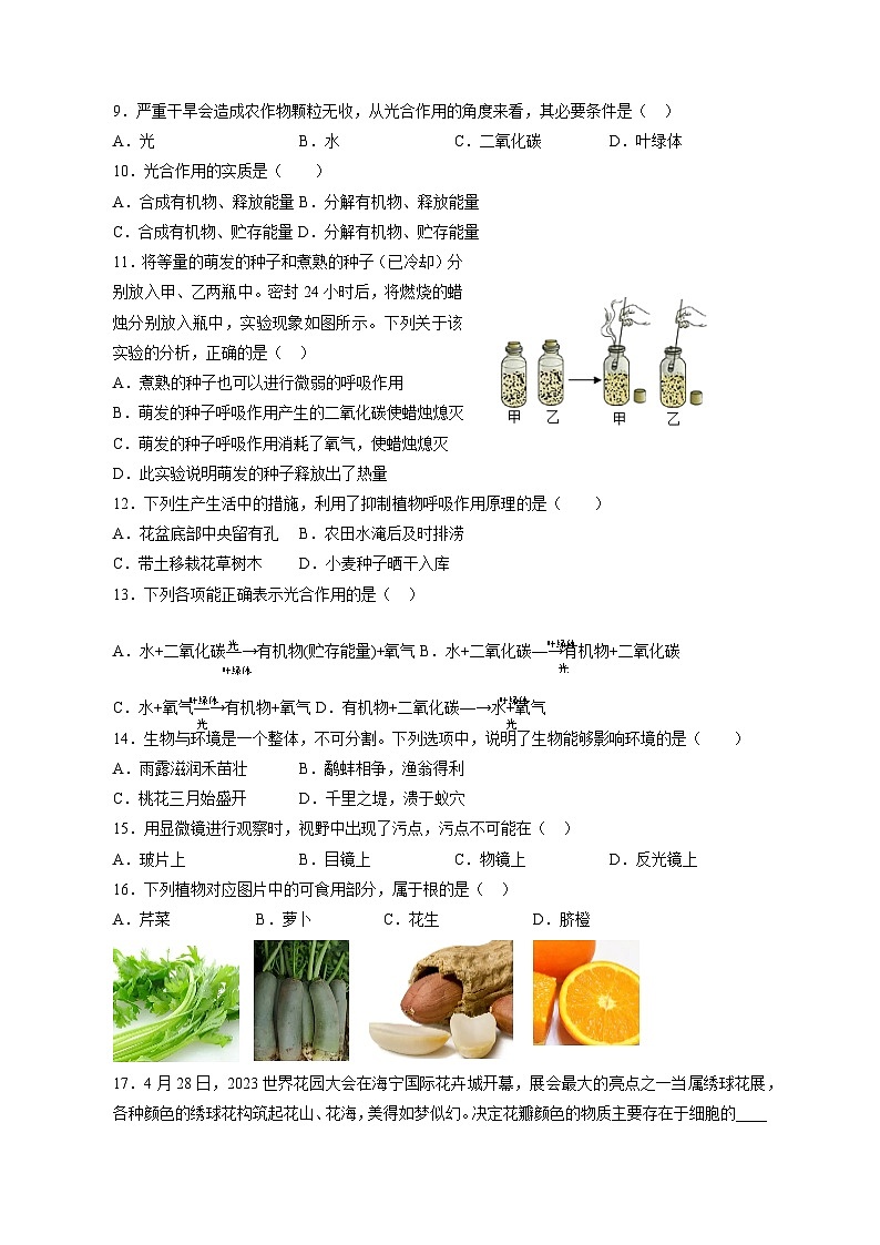 福建省晋江市2023-2024学年七年级上学期第二次月考生物模拟试卷（含答案）02
