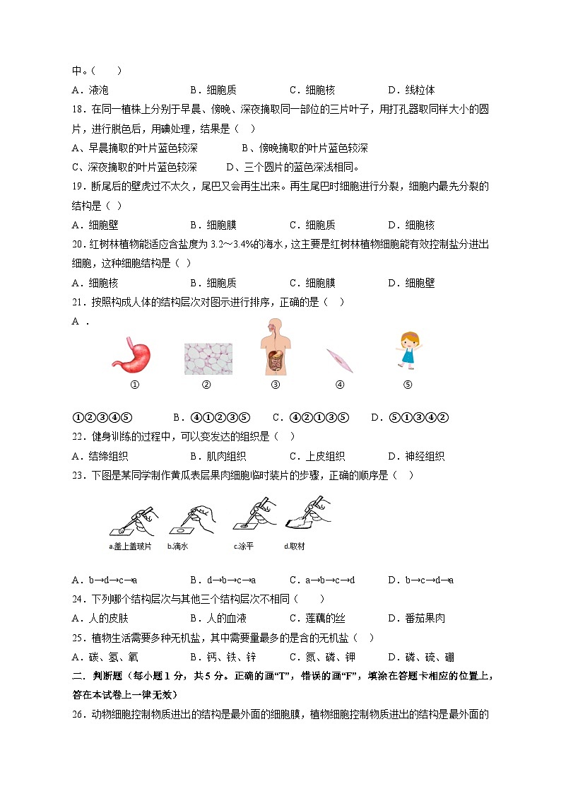 福建省晋江市2023-2024学年七年级上学期第二次月考生物模拟试卷（含答案）03