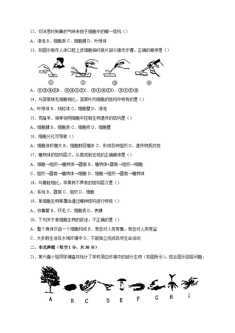 河南省商丘市夏邑县2023-2024学年七年级上学期期中生物模拟试题（含答案）第2页