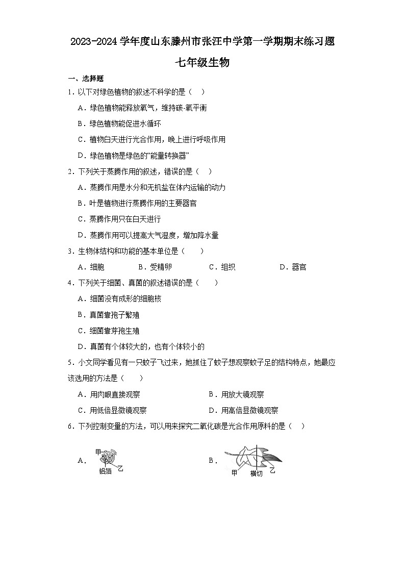 山东省滕州市张汪中学2023-2024学年七年级上学期期末生物练习题01