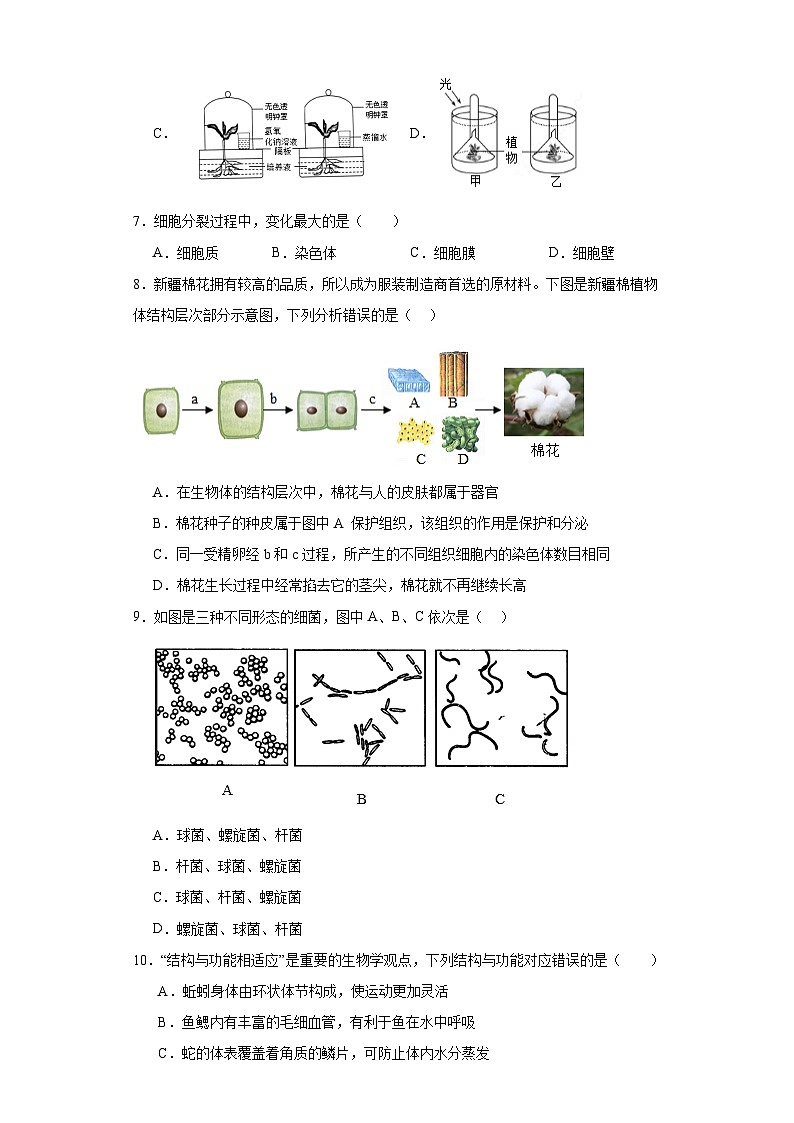 山东省滕州市张汪中学2023-2024学年七年级上学期期末生物练习题02