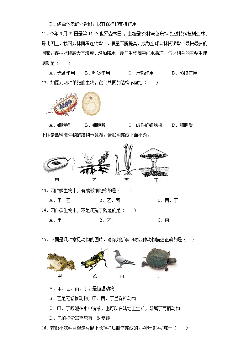 山东省滕州市张汪中学2023-2024学年七年级上学期期末生物练习题03