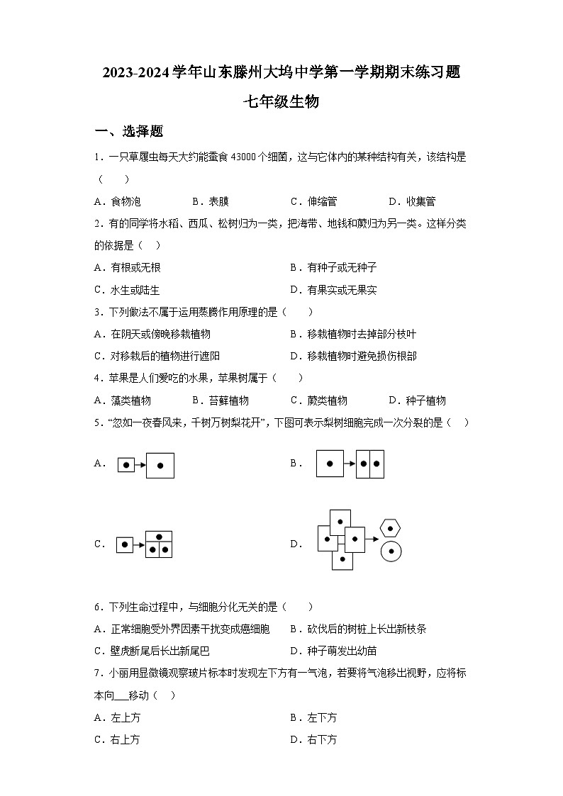 山东省滕州市大坞中学2023-2024学年七年级上学期期末练习 生物试题（含解析）01