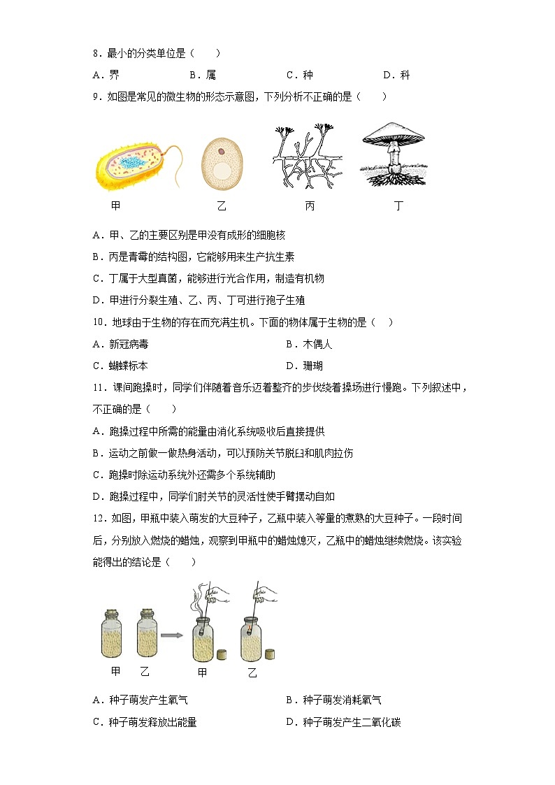 山东省滕州市大坞中学2023-2024学年七年级上学期期末练习 生物试题（含解析）02