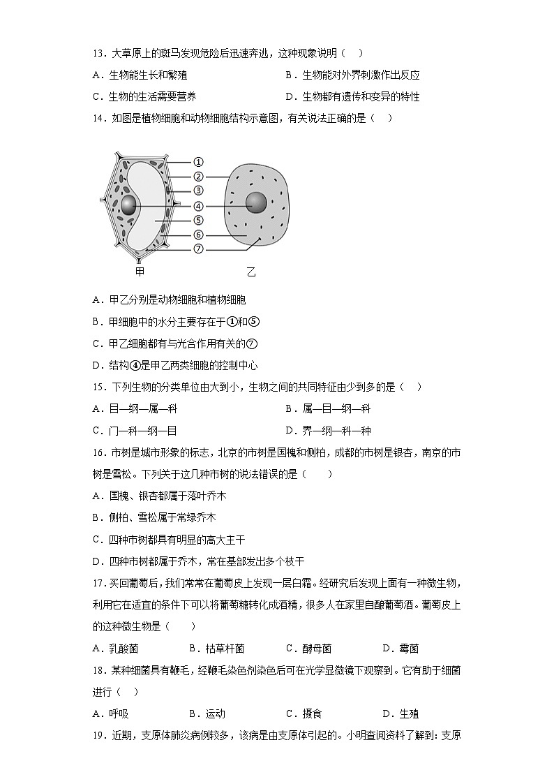 山东省滕州市大坞中学2023-2024学年七年级上学期期末练习 生物试题（含解析）03