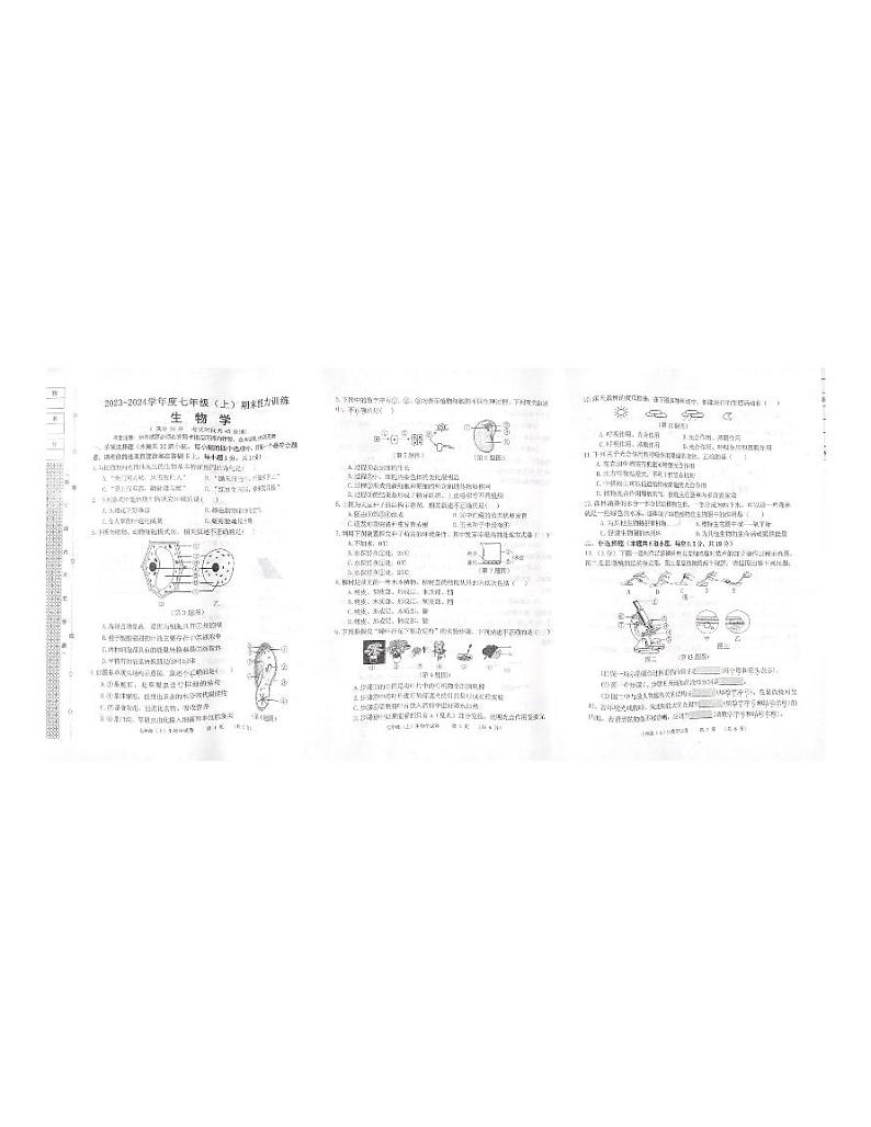 辽宁省沈阳市皇姑区2023-2024学年七年级上学期期末生物能力训练第1页