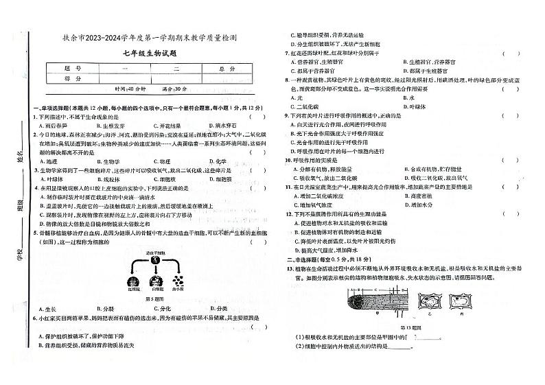 吉林省松原市扶余市2023-2024学年上学期七年级生物期末试题（图片版，含答案）01