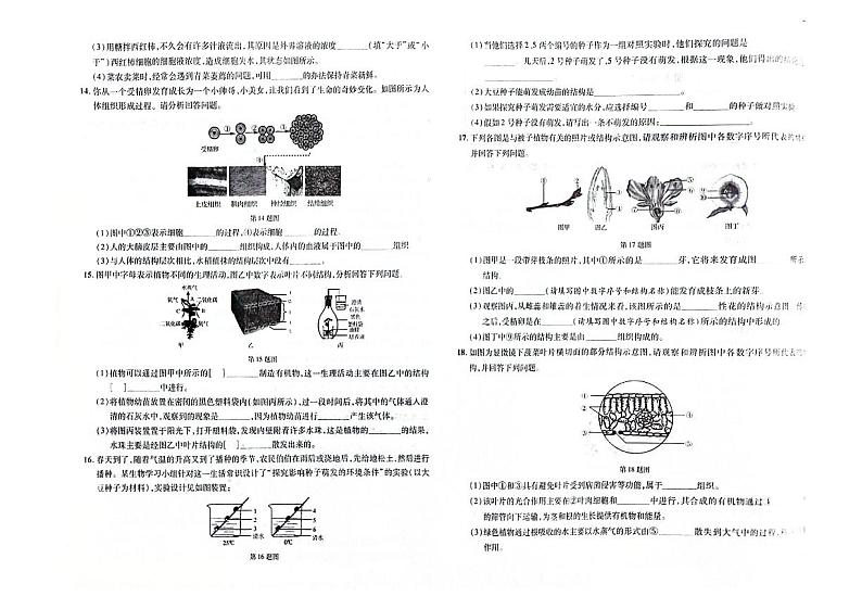 吉林省松原市扶余市2023-2024学年上学期七年级生物期末试题（图片版，含答案）02