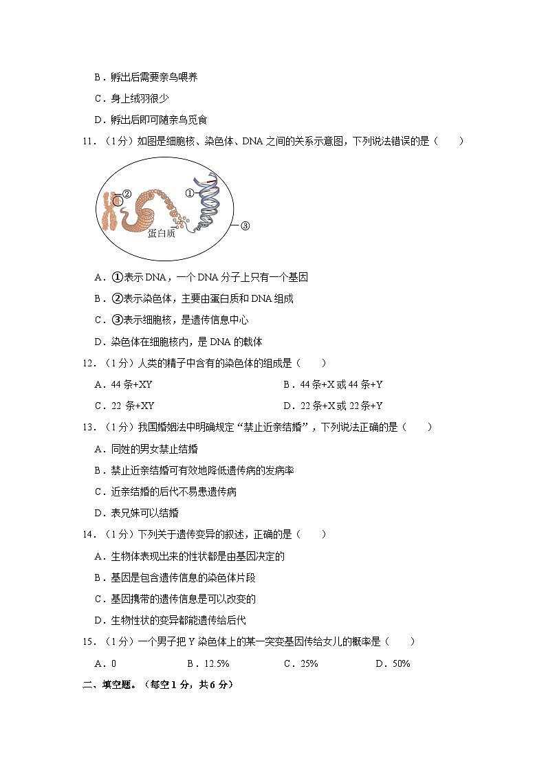 甘肃省酒泉市敦煌市2020-2021学年八年级上学期期末生物试卷第3页