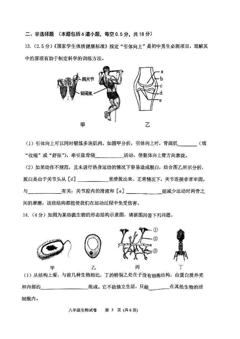 辽宁省铁岭市铁岭县2023-2024学年八年级上学期期末生物试题03