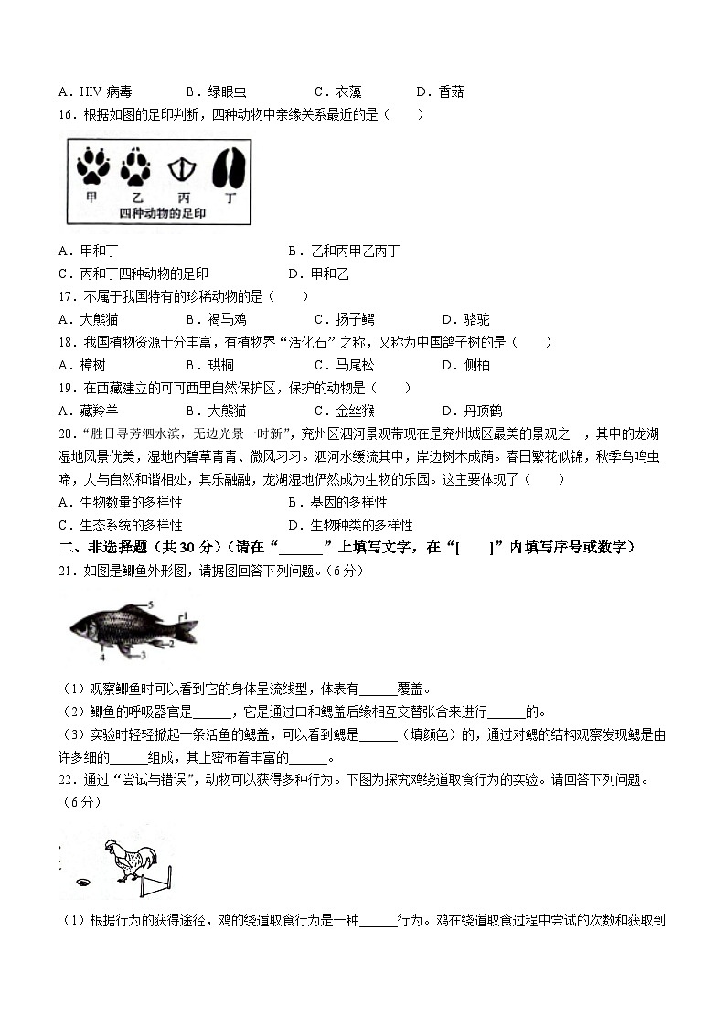 吉林省松原市宁江区2023-2024学年八年级上学期生物期末试题+03