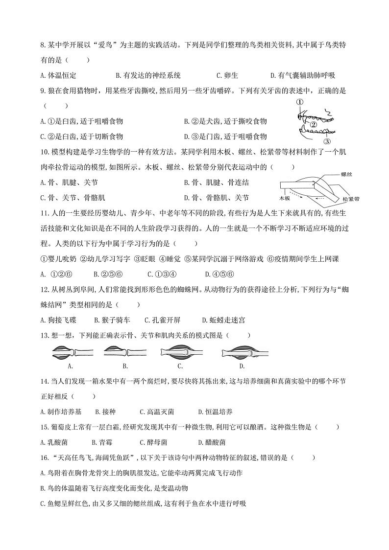 黑龙江省哈尔滨市第六十九中学校（五四学制）2023-2024学年七年级上学期11月月考生物试题02