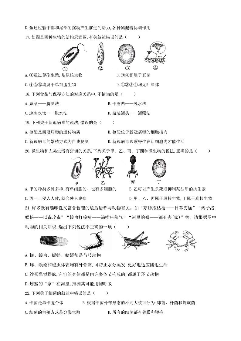 黑龙江省哈尔滨市第六十九中学校（五四学制）2023-2024学年七年级上学期11月月考生物试题03