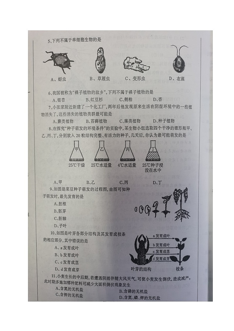 辽宁省丹东市凤城市2023-2024学年七年级上学期期末考试生物试题02