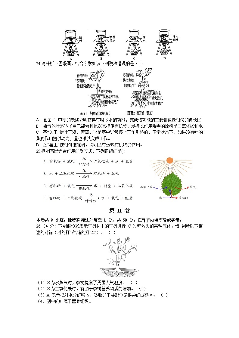 福建省南安市市区联盟校2023-2024学年七年级上学期12月月考生物试题第3页