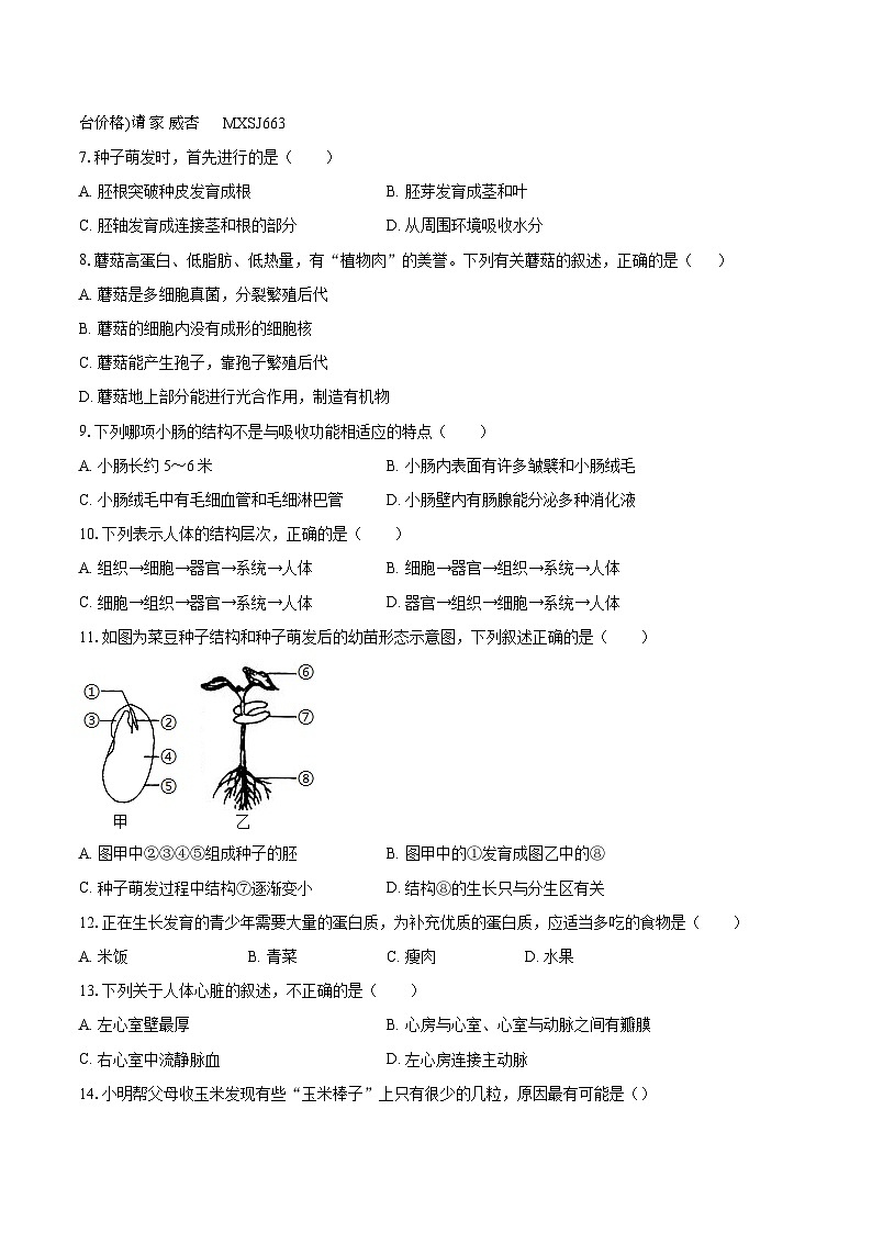 甘肃省武威市九中2022-2023学年七年级上学期期末生物试卷02