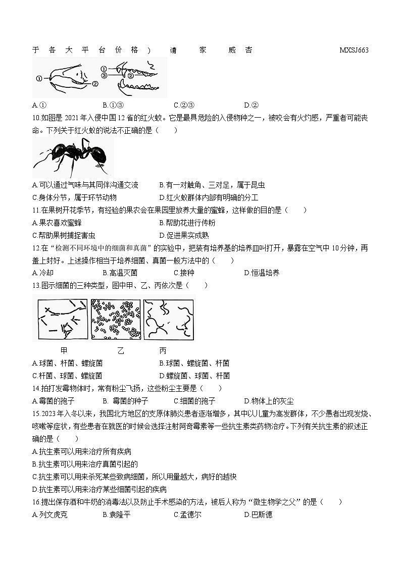 吉林省四平市伊通满族自治县2023-2024学年八年级上学期期末考试生物试卷(无答案)第2页