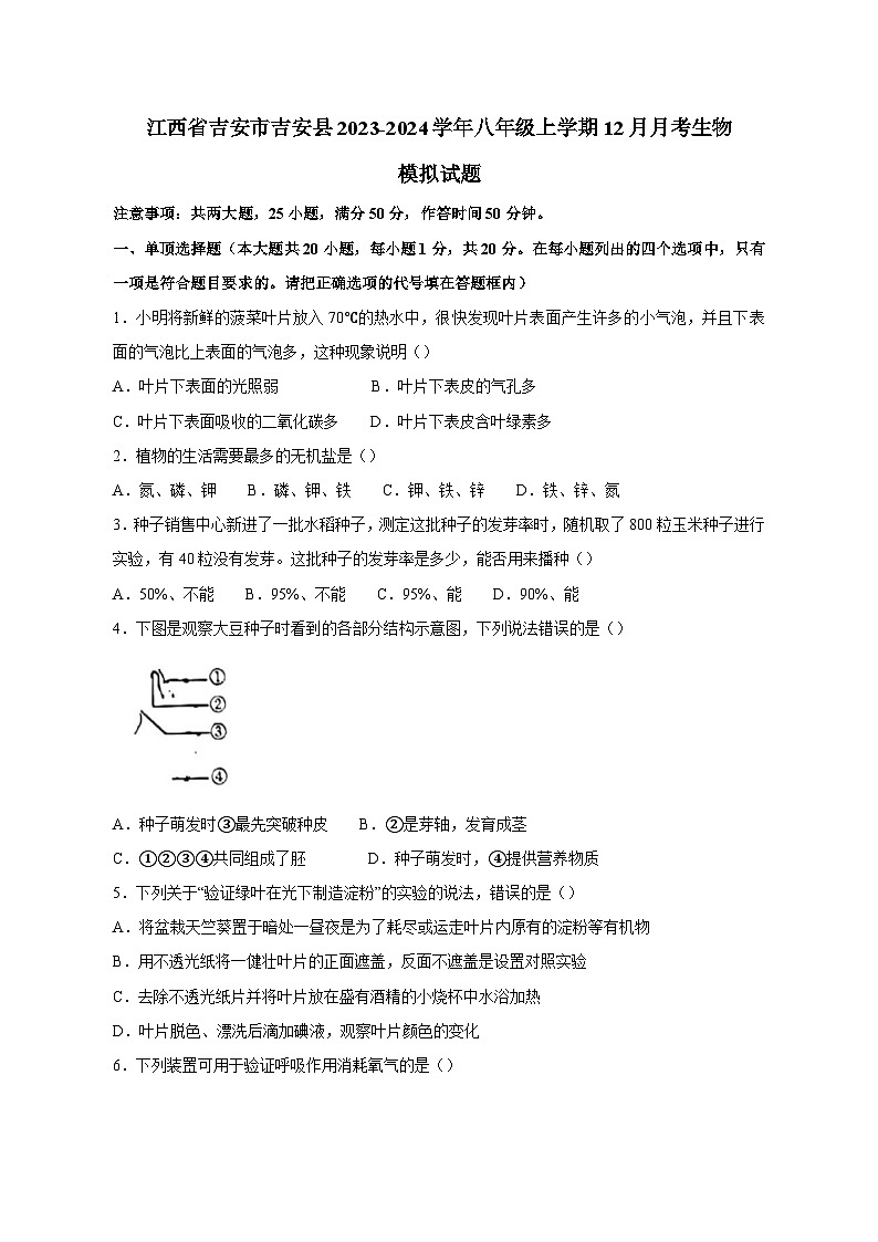 江西省吉安市吉安县2023-2024学年八年级上册12月月考生物模拟试卷（附答案）01