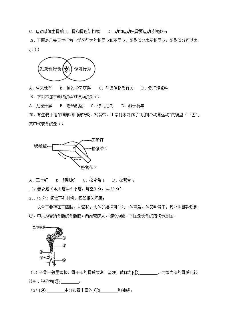 江西省吉安市吉安县2023-2024学年八年级上册12月月考生物模拟试卷（附答案）03