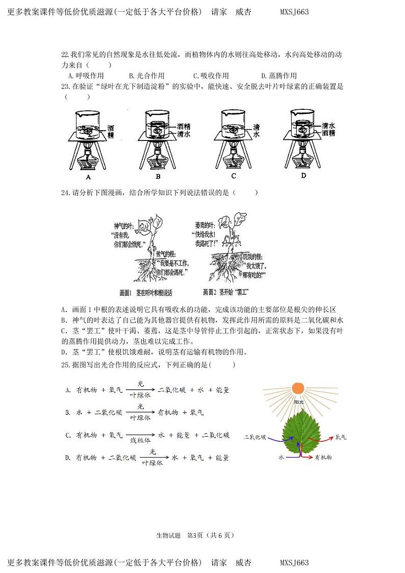 福建省南安市市区联盟校2023-2024学年七年级上学期12月月考生物试题03