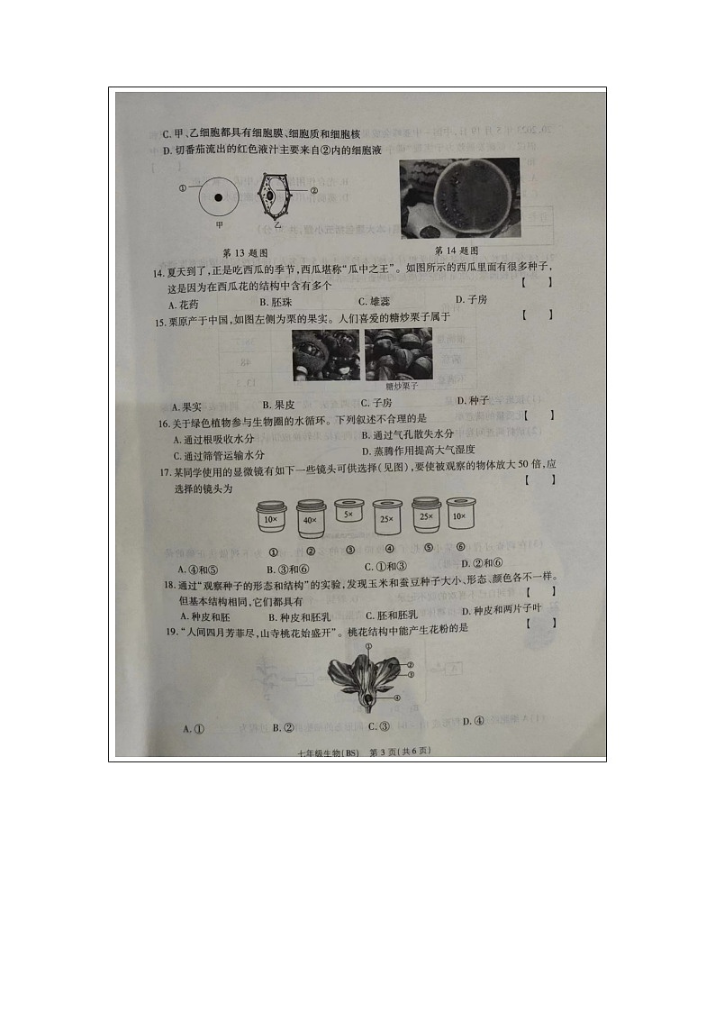 河南省驻马店市确山县第一初级中学2023-2024学年七年级上学期12月份月考生物试题第3页