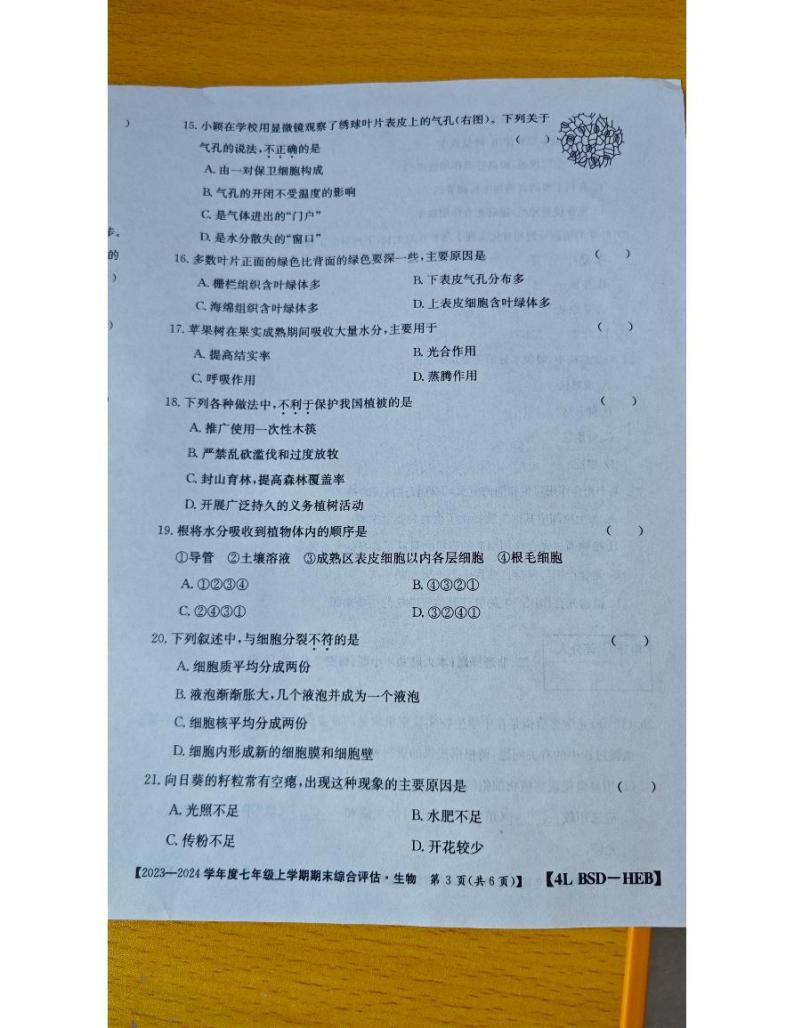 河北省廊坊市固安县牛驼镇中学2023-2024学年七年级上学期1月月考生物试题03