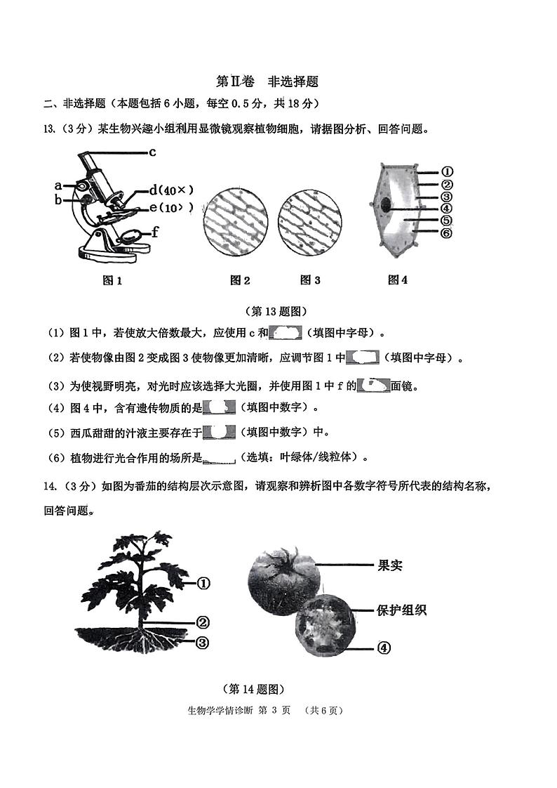辽宁省沈阳市大东区2023-2024学年七年级上学期期末生物试卷第3页