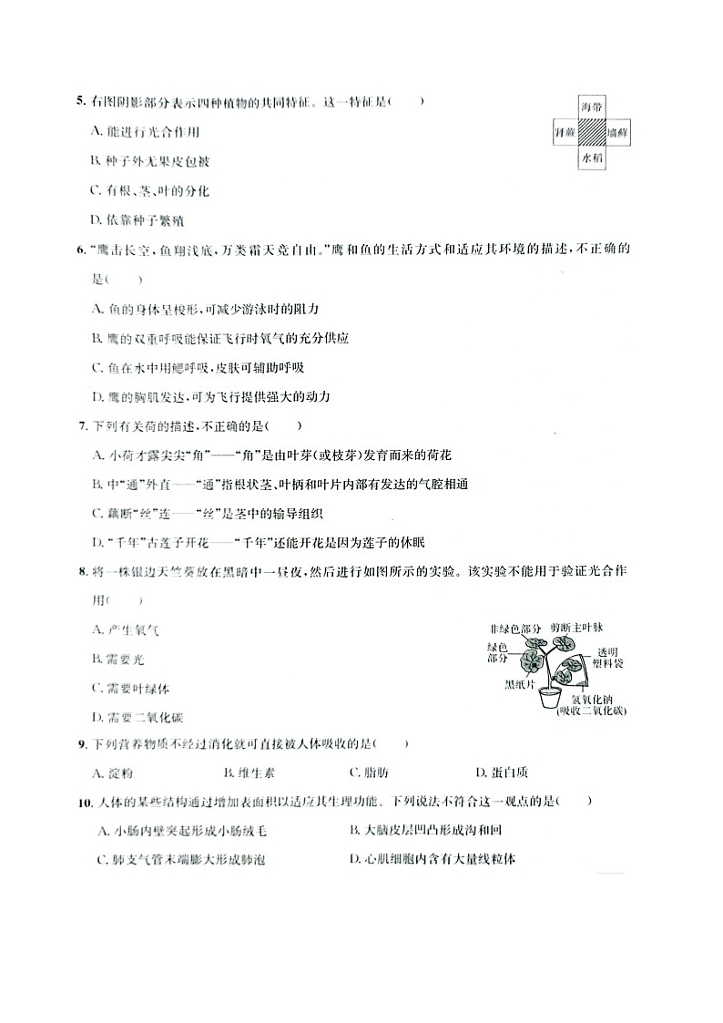 2023年山东省济宁市生物中考真题02