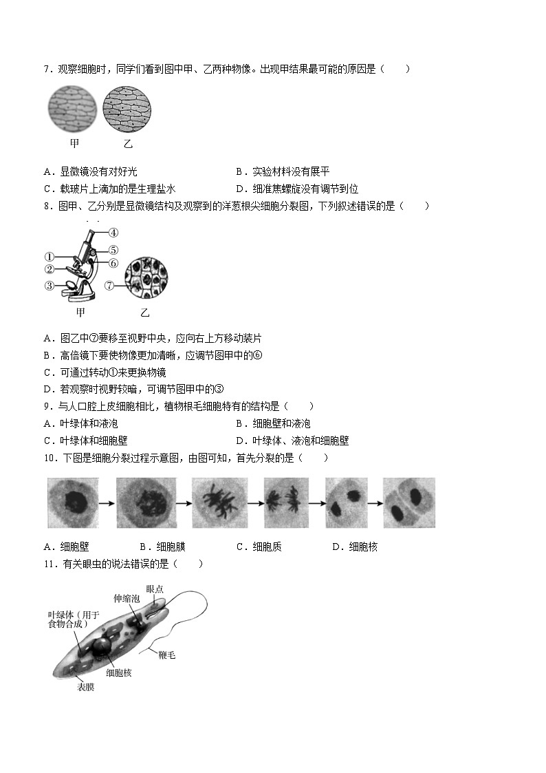 北京市朝阳区2023-2024学年七年级上学期期末生物试题02