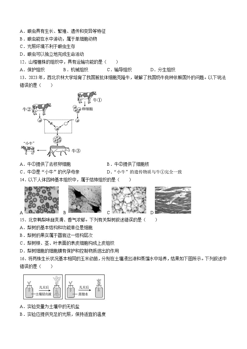 北京市朝阳区2023-2024学年七年级上学期期末生物试题03