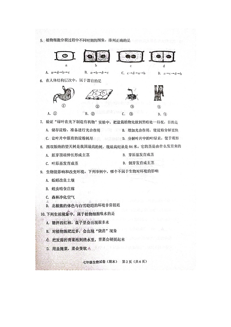辽宁省抚顺县2023-2024学年七年级上学期期末教学质量检测生物试卷02