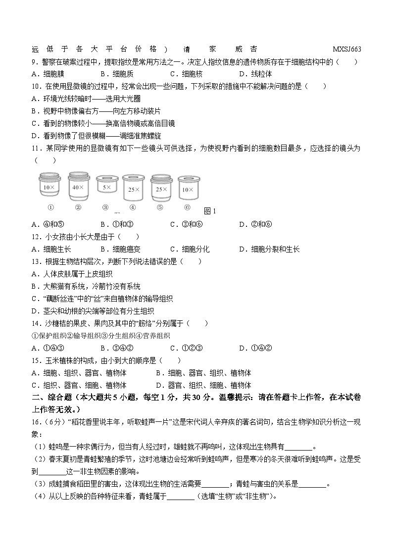 广西崇左市2023-2024学年七年级上学期期中生物试题02
