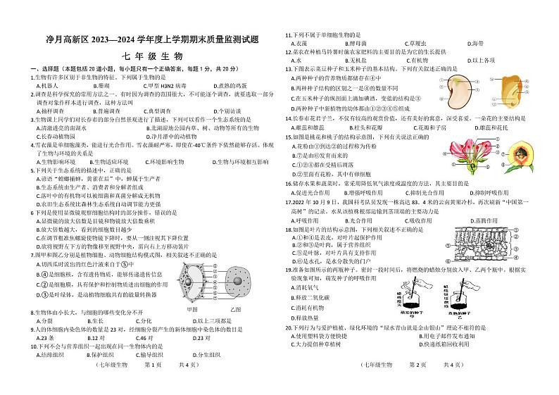 吉林省长春市净月高新区2023—2024 学年七年级上学期期末生物试题01