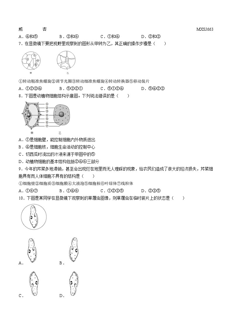 山东省宁津县张宅中学2023-2024学年七年级上学期第二次月考生物试题02