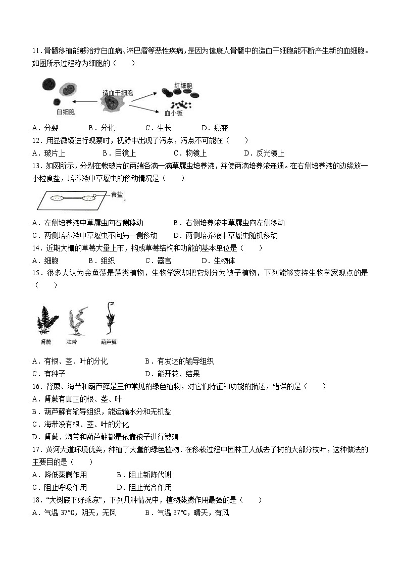 山东省宁津县张宅中学2023-2024学年七年级上学期第二次月考生物试题03