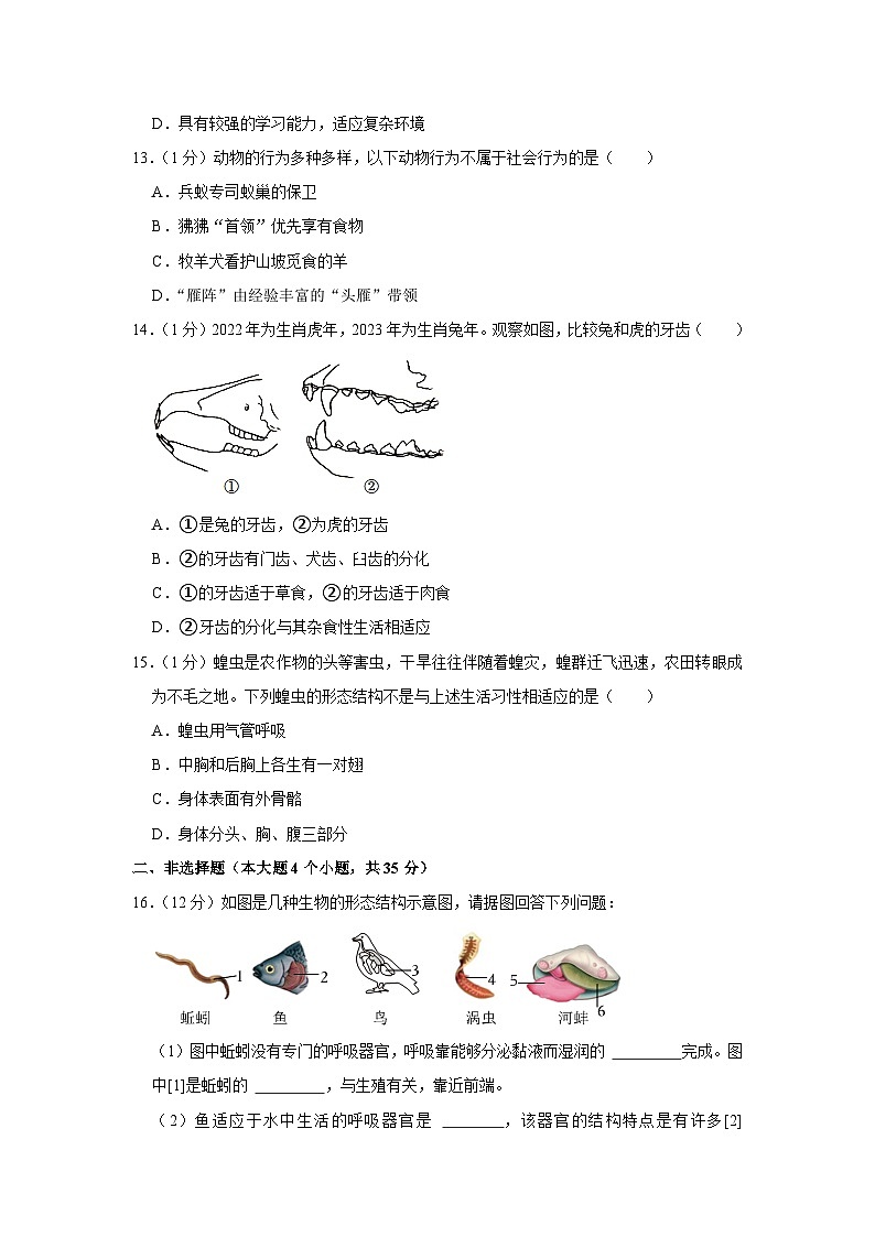 山西省临汾市洪洞县2023-2024学年八年级上学期期中生物试卷03