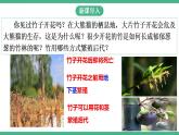 人教版生物八年级下册 7.1.1《植物的生殖》课件+视频