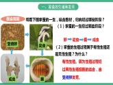 人教版生物八年级下册 7.1.2《昆虫的生殖和发育》课件+视频