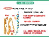 人教版生物八年级下册 7.2.2《基因在亲子代间的传递》课件+视频